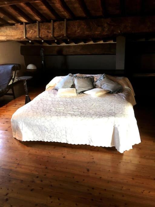 Romantic Studio In The Historical Heart Of Padwa Zewnętrze zdjęcie